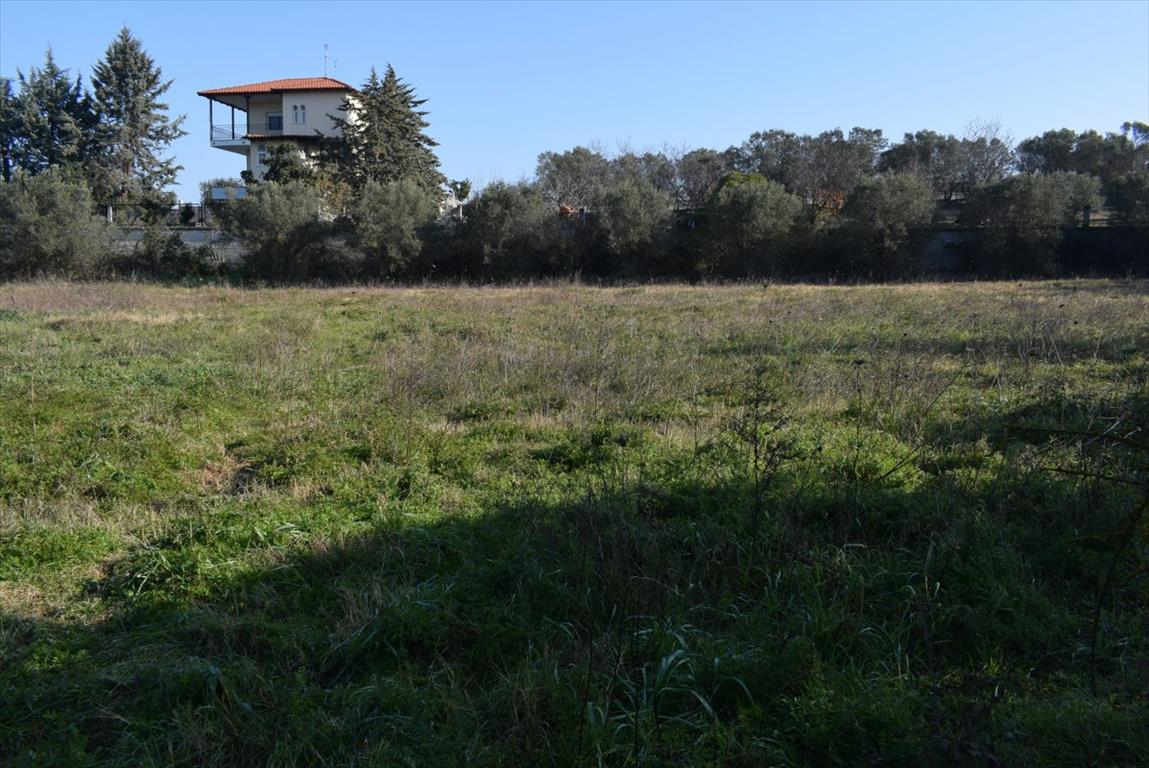 Продажа - Земельный участок 3000 m² в пригороде Салоник