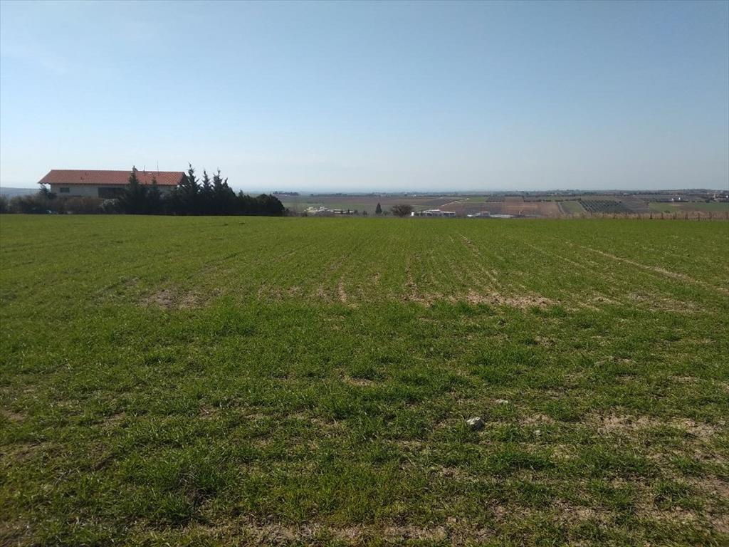 Продажа - Земельный участок 6100 m² в пригороде Салоник
