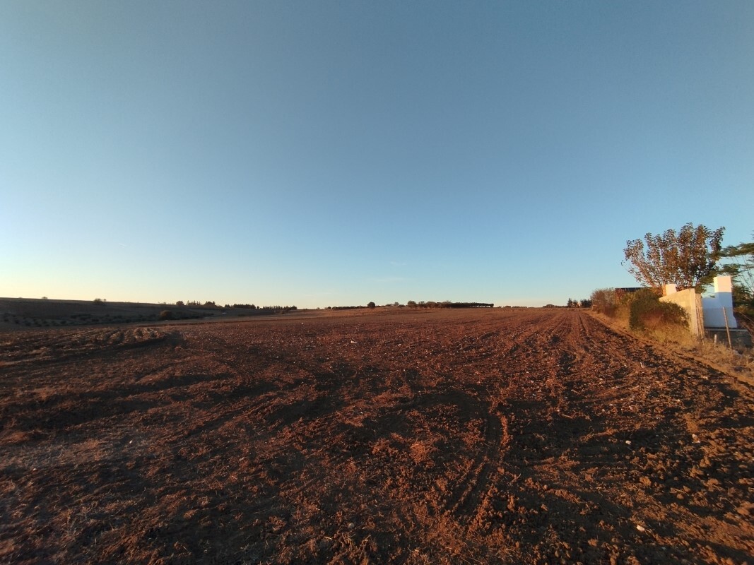 Продажа - Земельный участок 6000 m² в пригороде Салоник