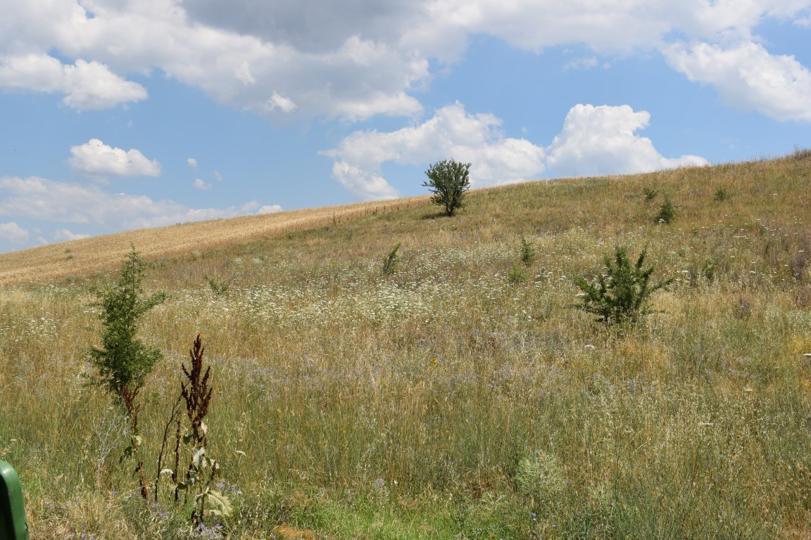 Продажа - Земельный участок 2400 m² в пригороде Салоник