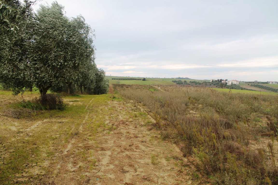 Продажа - Земельный участок 7350 m² в пригороде Салоник