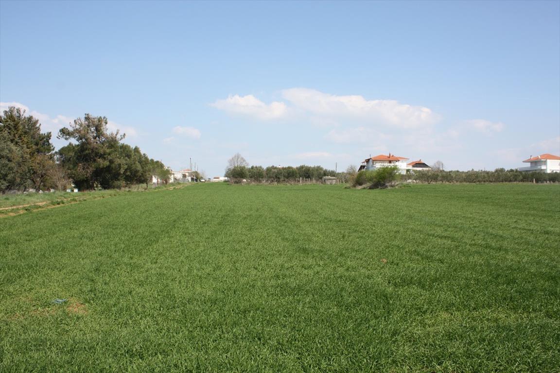Продажа - Земельный участок 8000 m² в пригороде Салоник