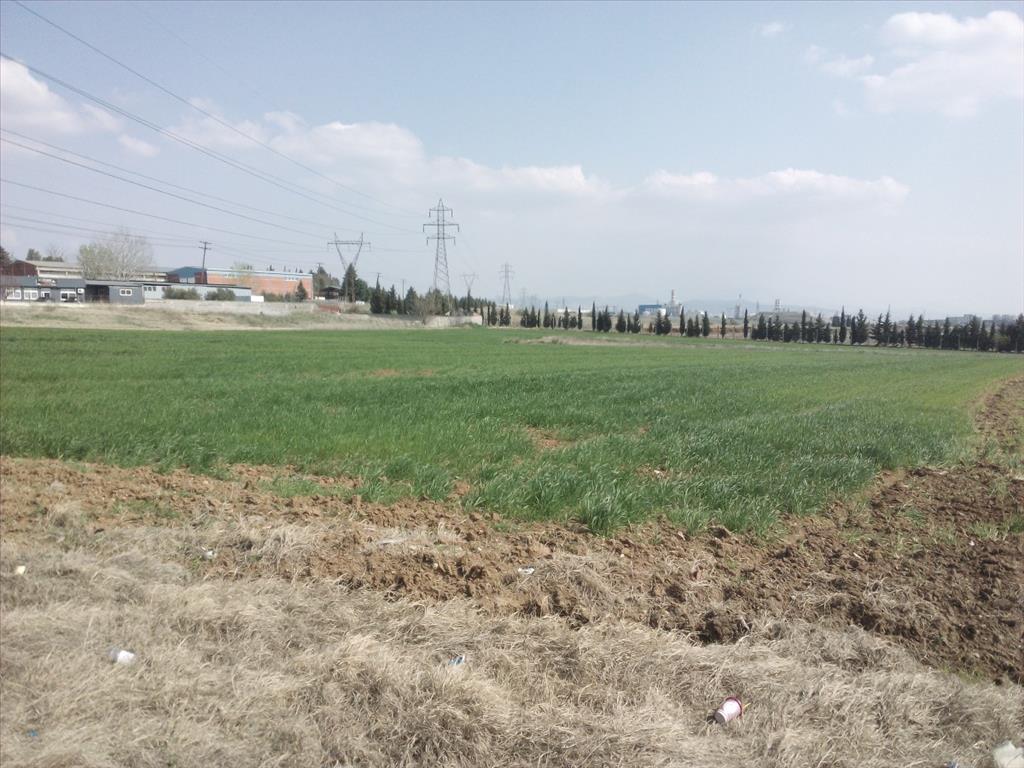 Продажа - Земельный участок 15000 m² в пригороде Салоник