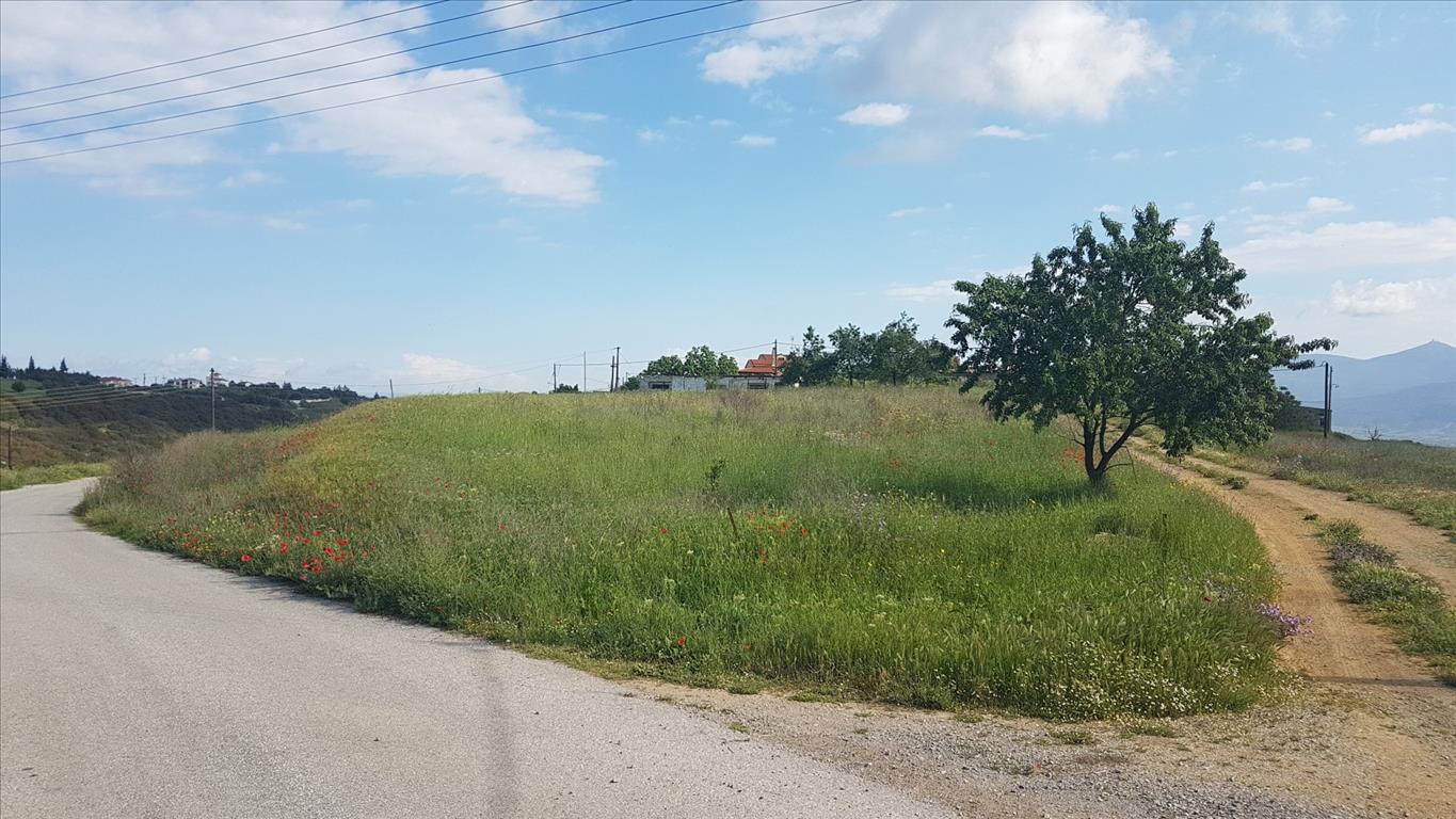 Продажа - Земельный участок 1650 m² в пригороде Салоник