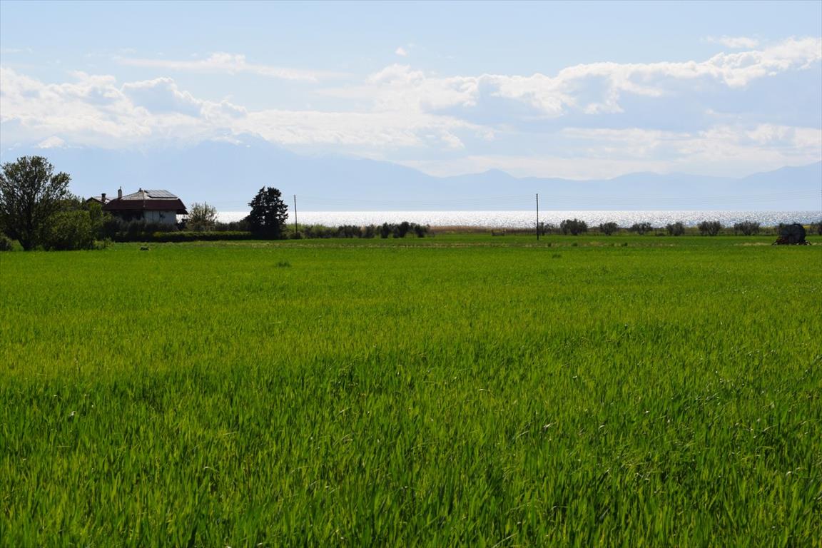 Продажа - Земельный участок 27000 m² в пригороде Салоник