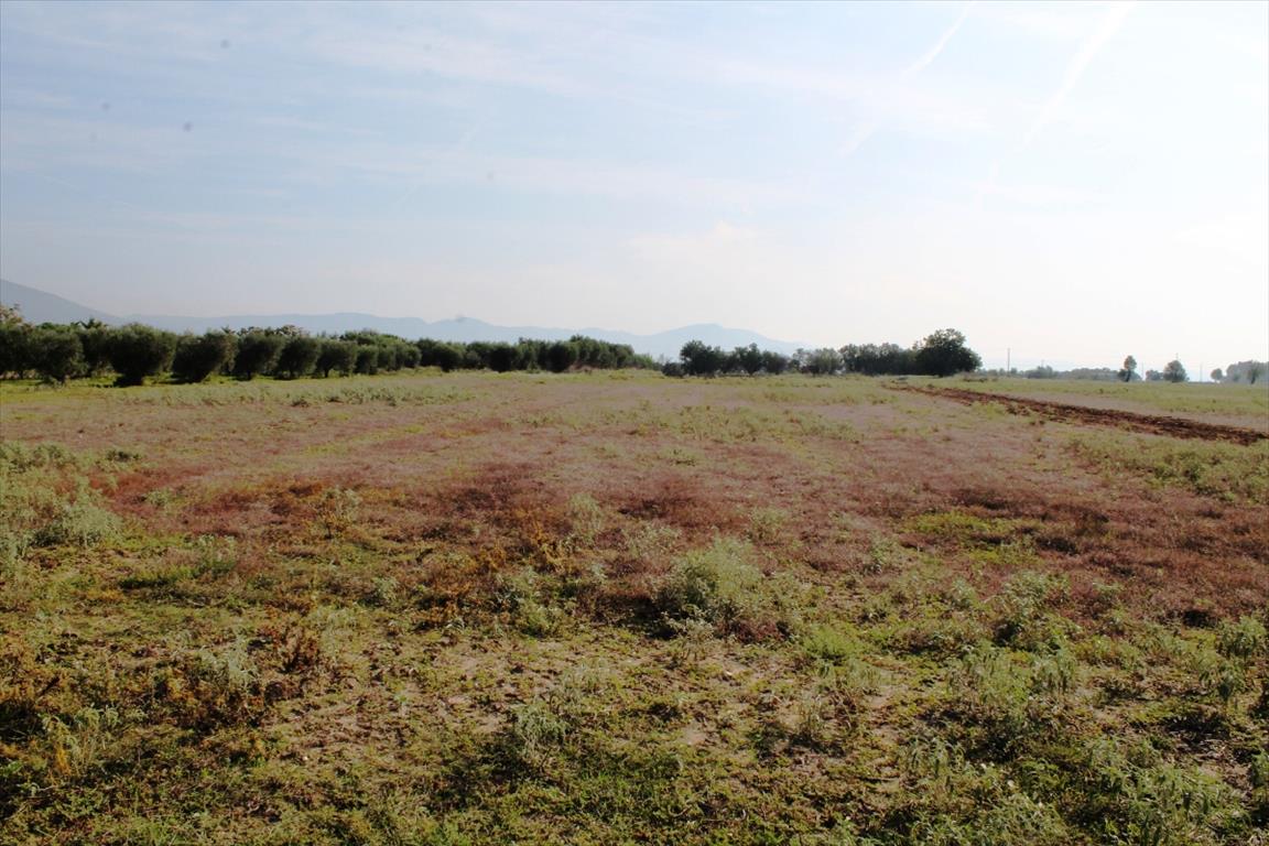 Продажа - Земельный участок 11600 m² в пригороде Салоник