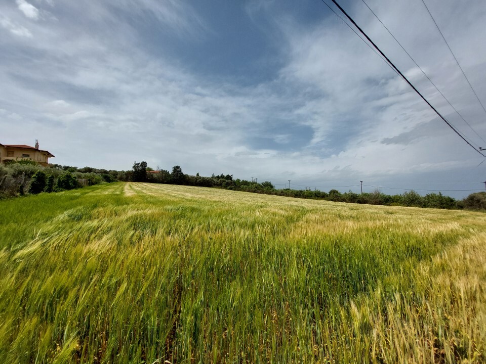 Продажа - Земельный участок 5000 m² в пригороде Салоник