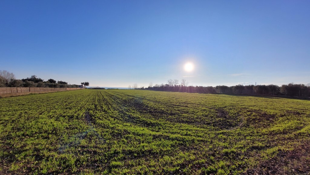 Продажа - Земельный участок 9375 m² в пригороде Салоник