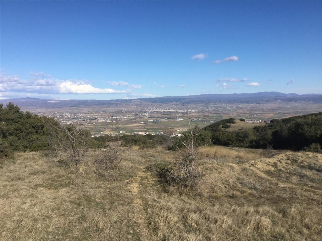 Продажа - Земельный участок 6500 m² в пригороде Салоник