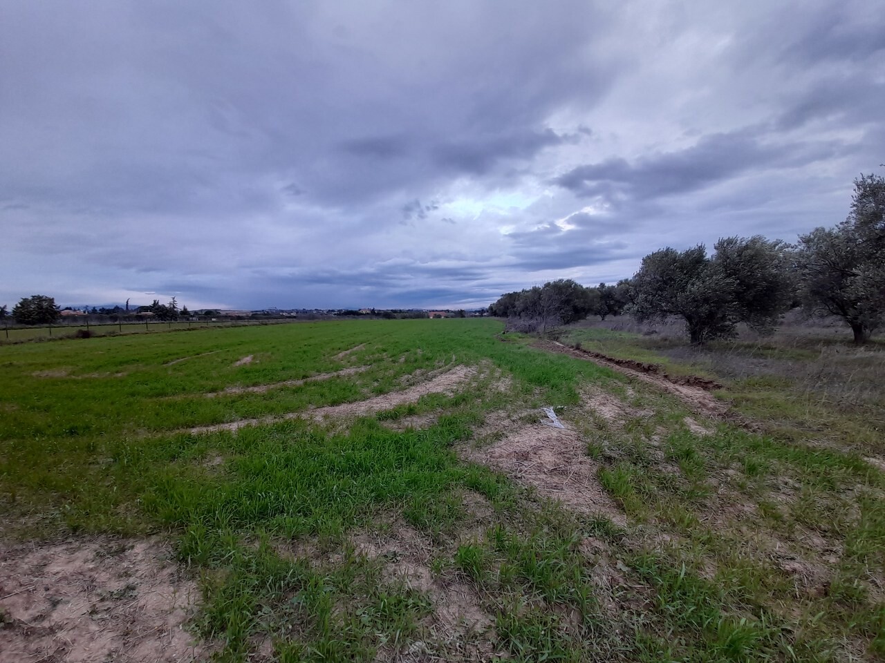 Продажа - Земельный участок 4312 m² в пригороде Салоник