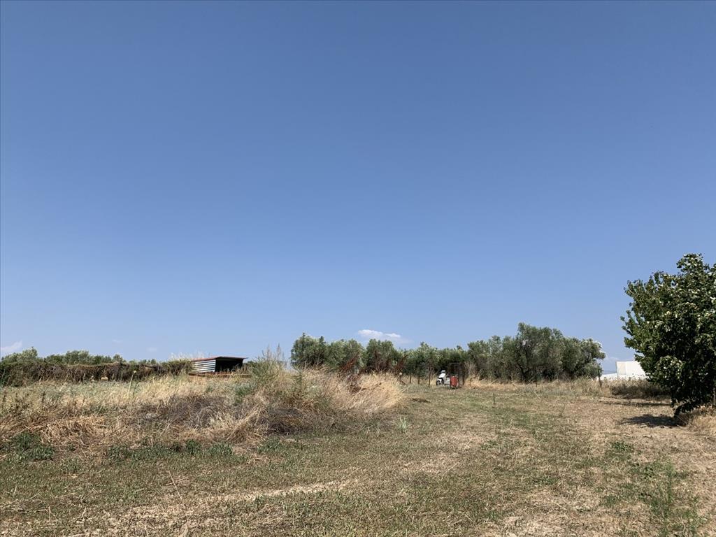 Продажа - Земельный участок 7000 m² в пригороде Салоник