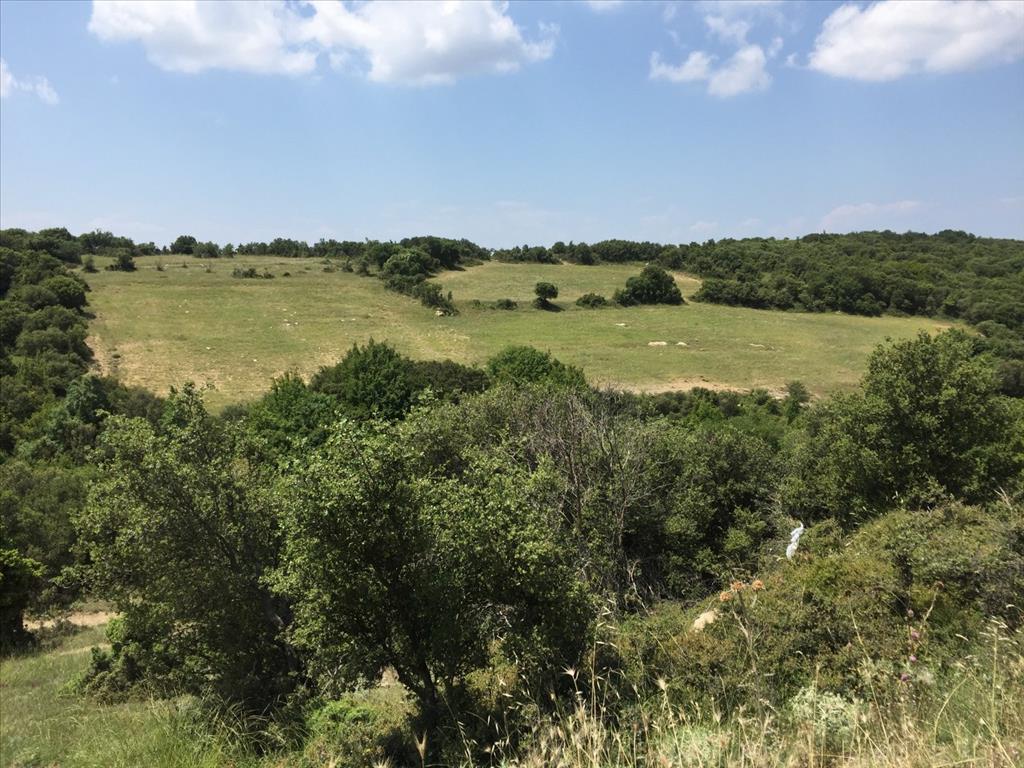 Продажа - Земельный участок 12100 m² в Салониках