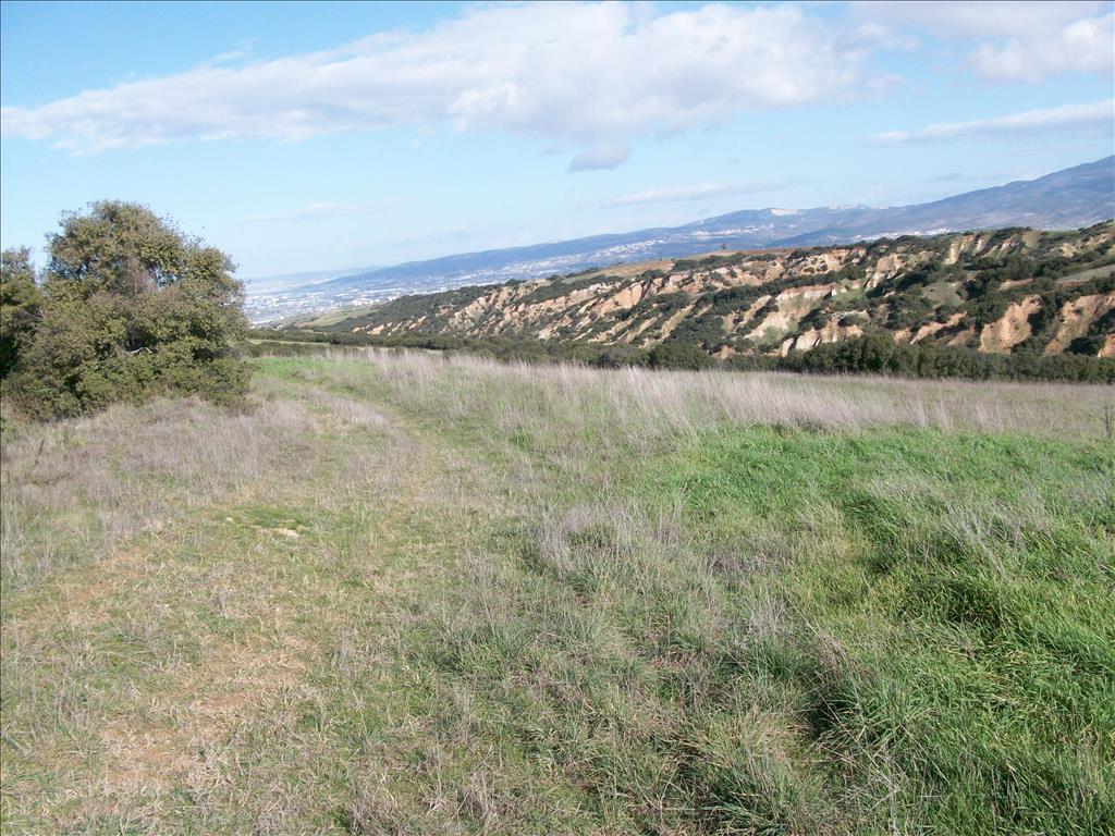 Продажа - Земельный участок 14500 m² в Салониках