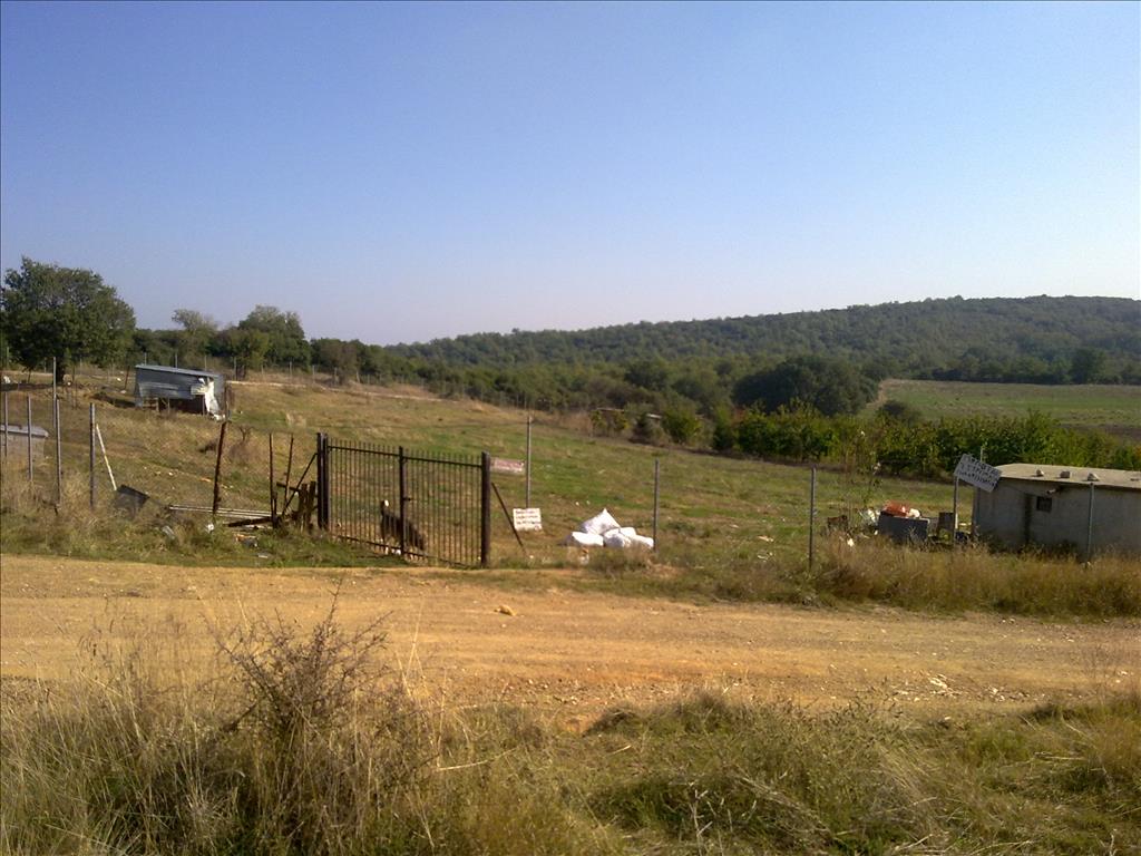 Продажа - Земельный участок 7000 m² в Салониках