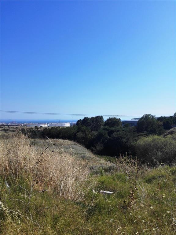 Продажа - Земельный участок 37500 m² в Салониках