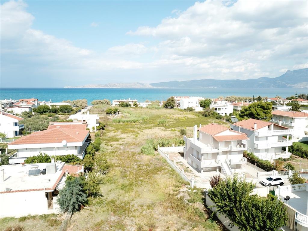 Продажа - Земельный участок 18445 m² на Восточном Пелопоннесе