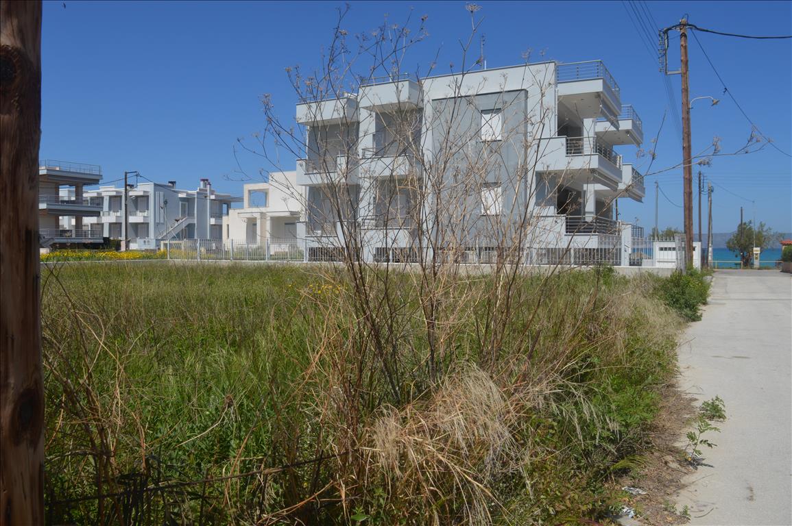 Продажа - Земельный участок 502 m² на Восточном Пелопоннесе