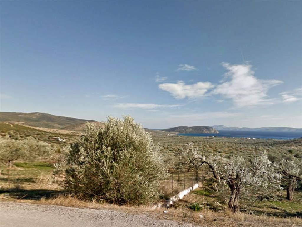 Продажа - Земельный участок 2120 m² на Восточном Пелопоннесе - Ермионида