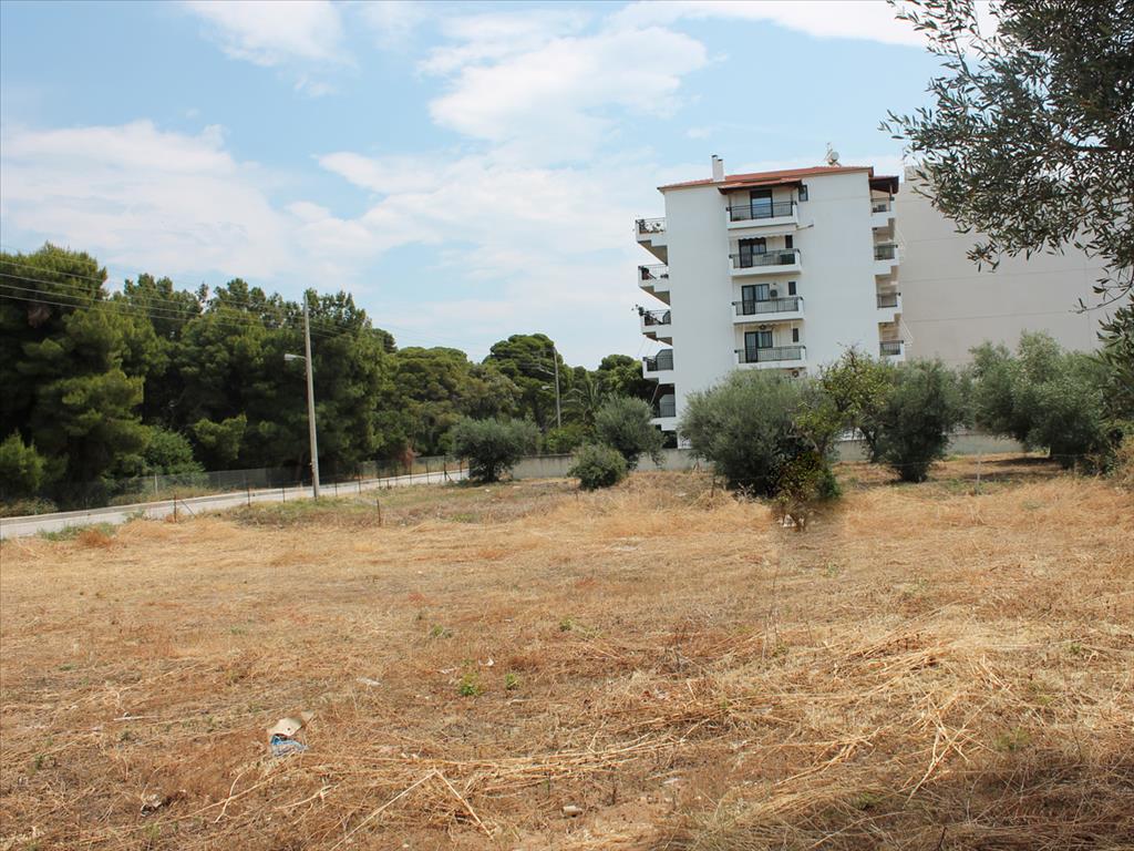 Продажа - Земельный участок 1400 m² на Восточном Пелопоннесе