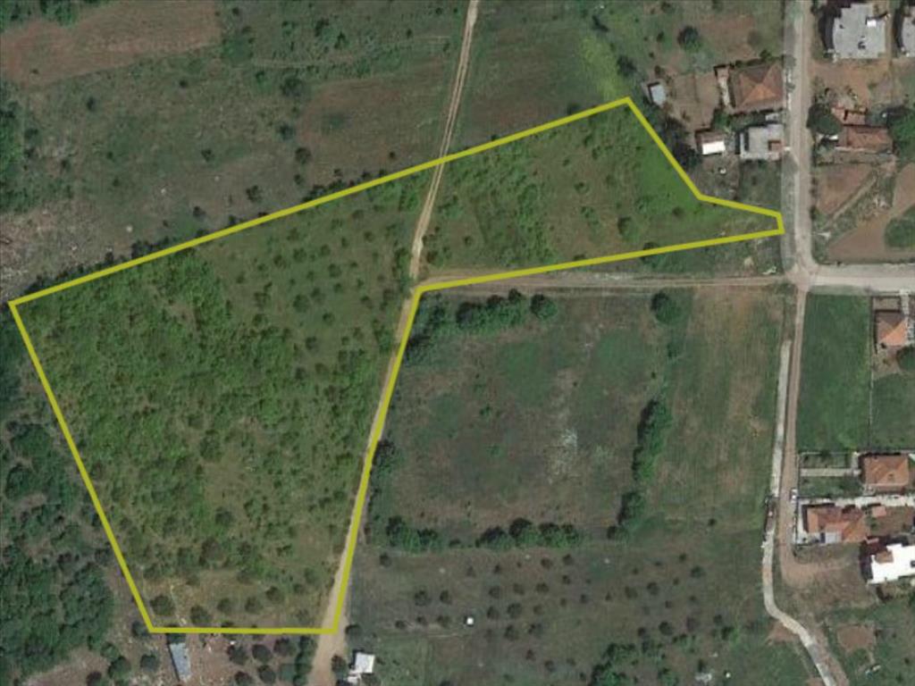 Продажа - Земельный участок 16500 m² на Западном Пелопоннесе
