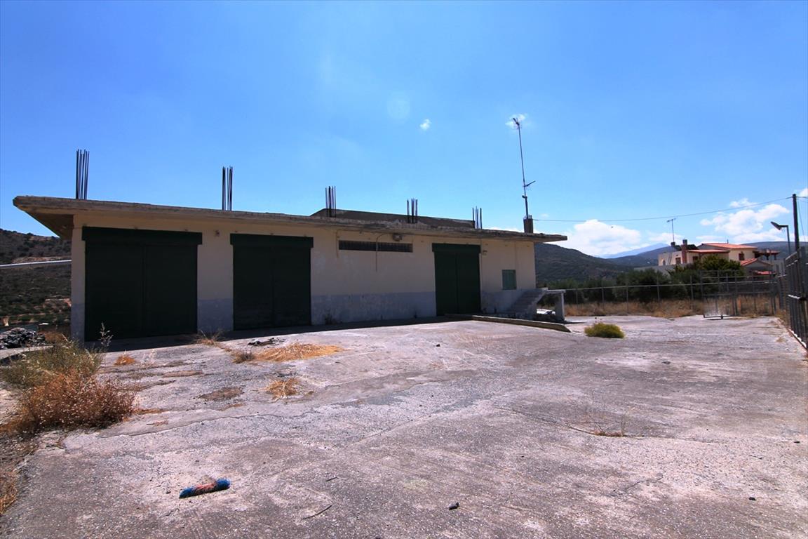 Продажа - Бизнес 300 m² на Крите