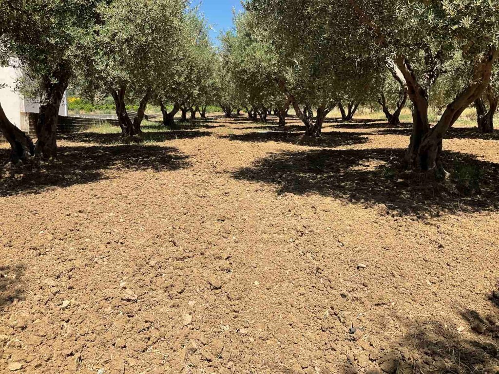Продажа - Земельный участок 1800 m² на Крите