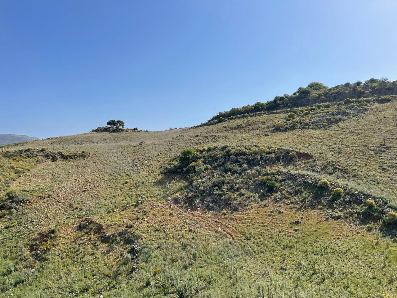 Продажа - Земельный участок 25000 m² на Крите
