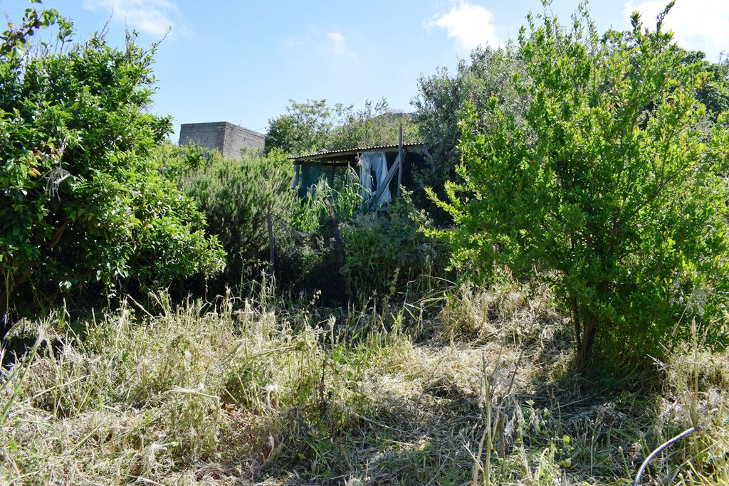 Продажа - Земельный участок 350 m² на Крите