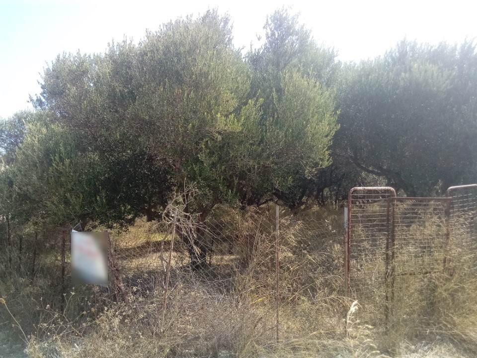 Продажа - Земельный участок 2500 m² на Крите