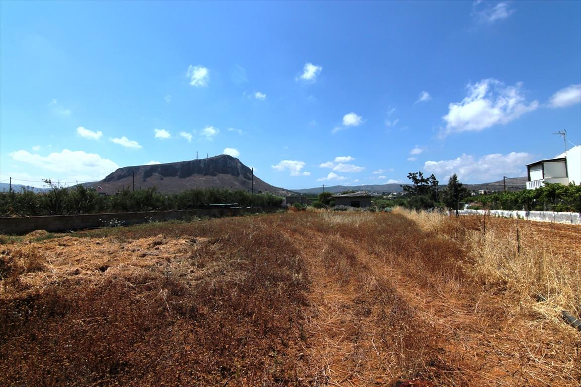 Продажа - Земельный участок 2600 m² на Крите