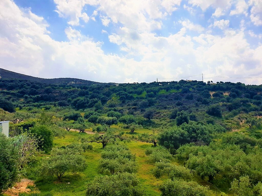Продажа - Земельный участок 800 m² на Крите