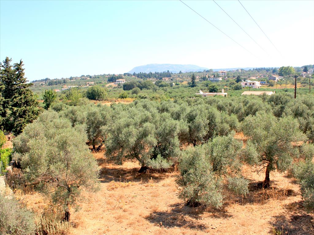 Продажа - Земельный участок 8243 m² на Крите
