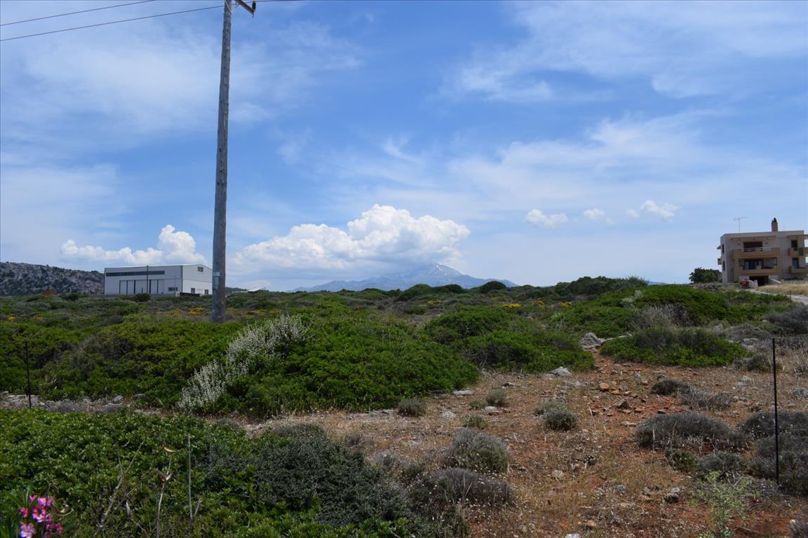 Продажа - Земельный участок 21000 m² на Крите