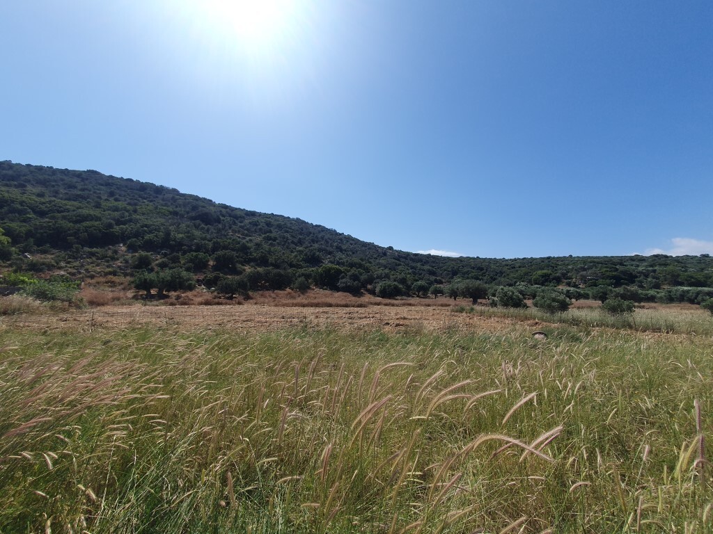 Продажа - Земельный участок 28752 m² на Крите