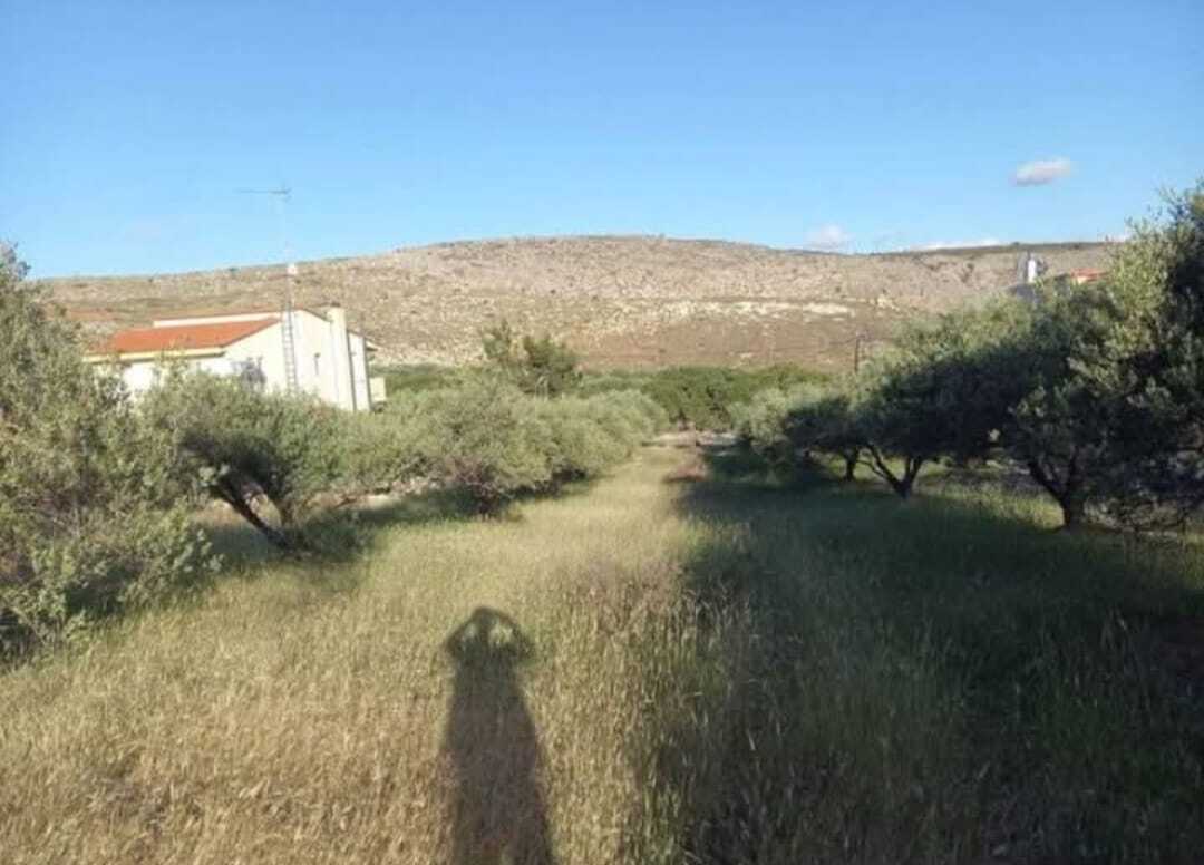 Продажа - Земельный участок 1968 m² на Крите