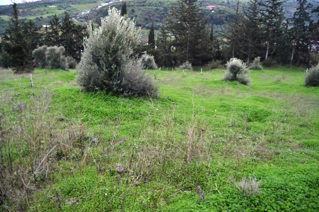 Продажа - Земельный участок 4100 m² на Крите