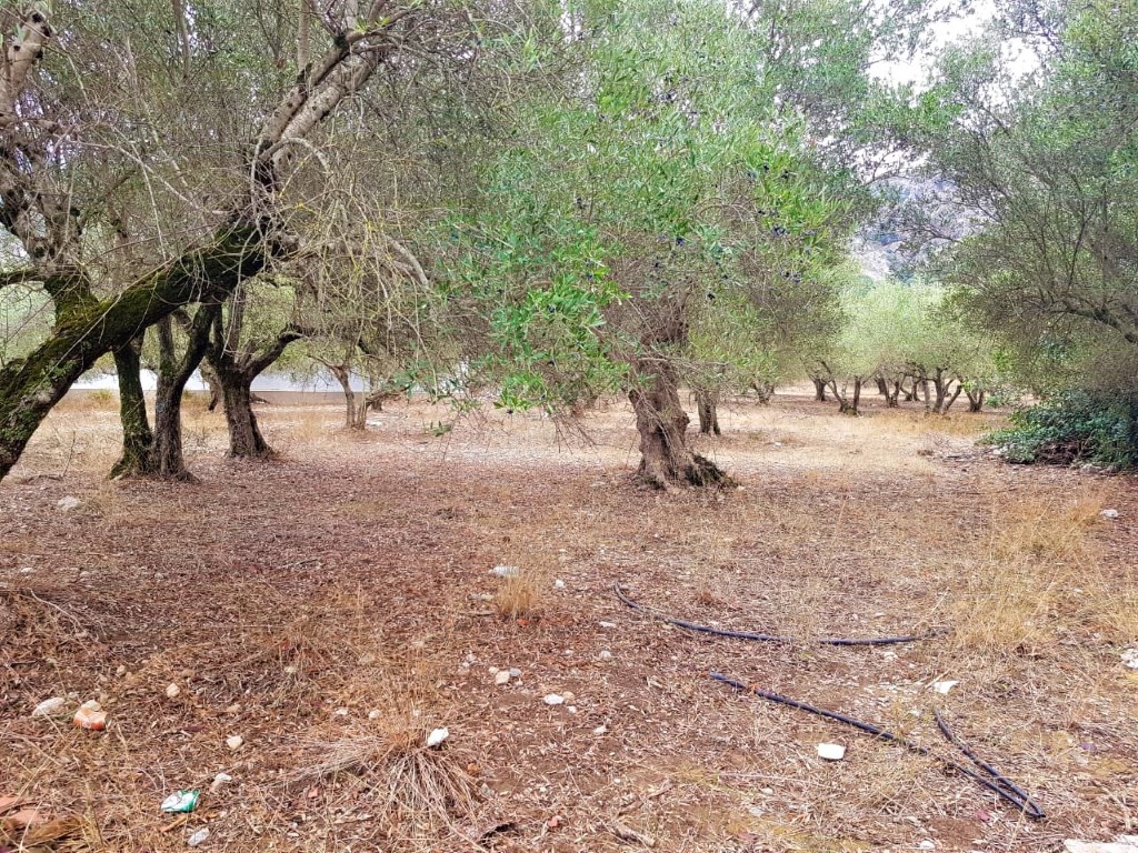 Продажа - Земельный участок 750 m² на Крите