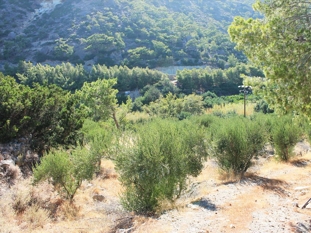 Продажа - Земельный участок 4000 m² на Крите