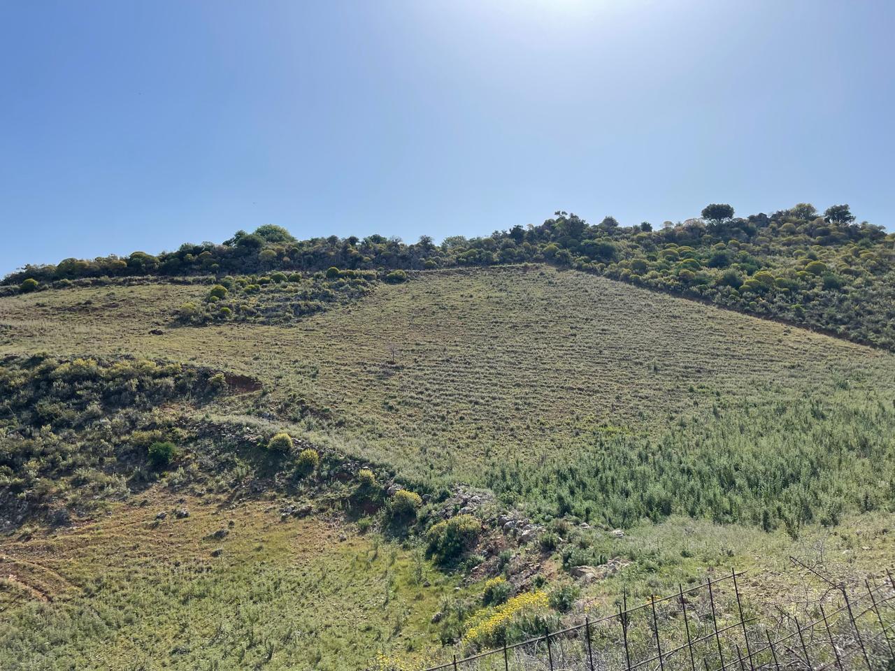 Продажа - Земельный участок 10000 m² на Крите