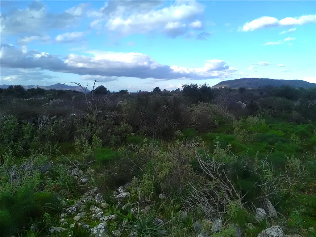Продажа - Земельный участок 9800 m² на Крите