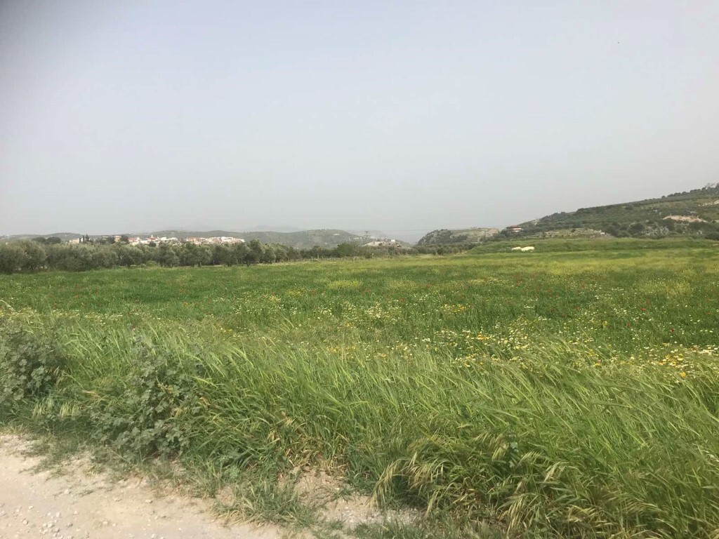 Продажа - Земельный участок 1800 m² на Крите