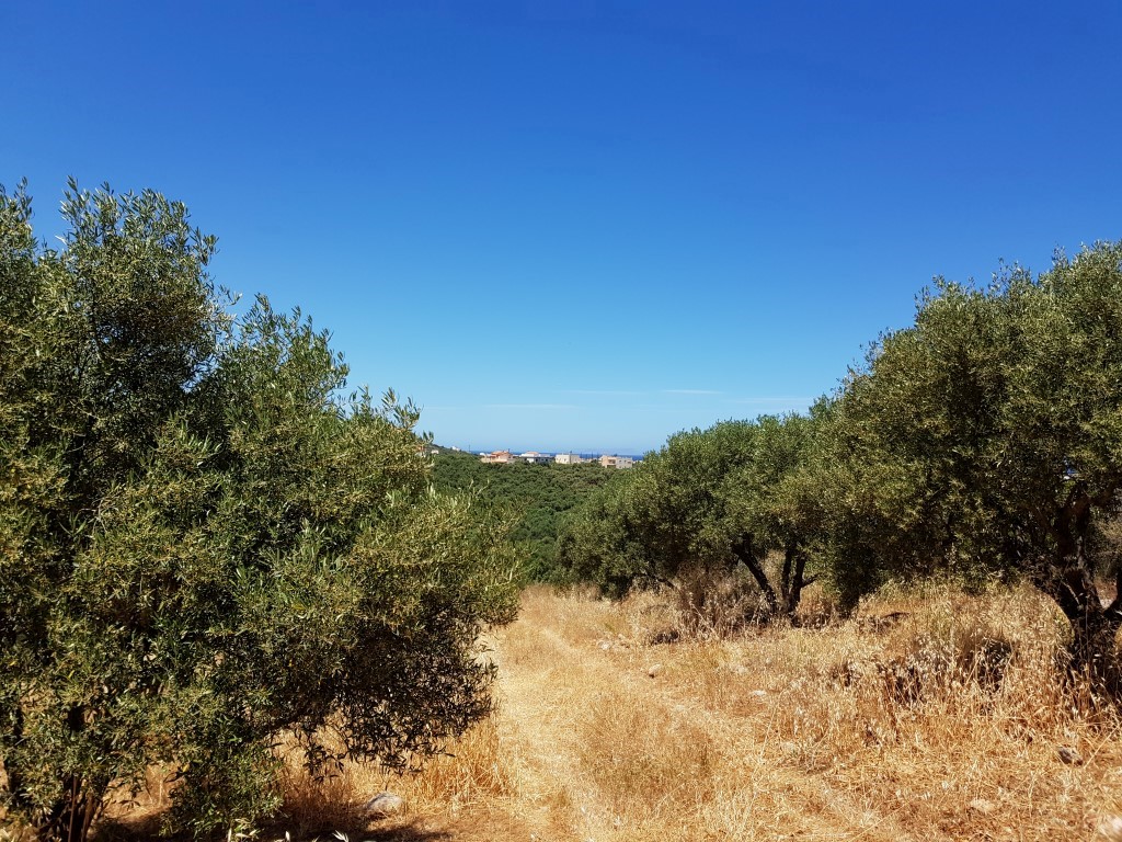 Продажа - Земельный участок 3700 m² на Крите