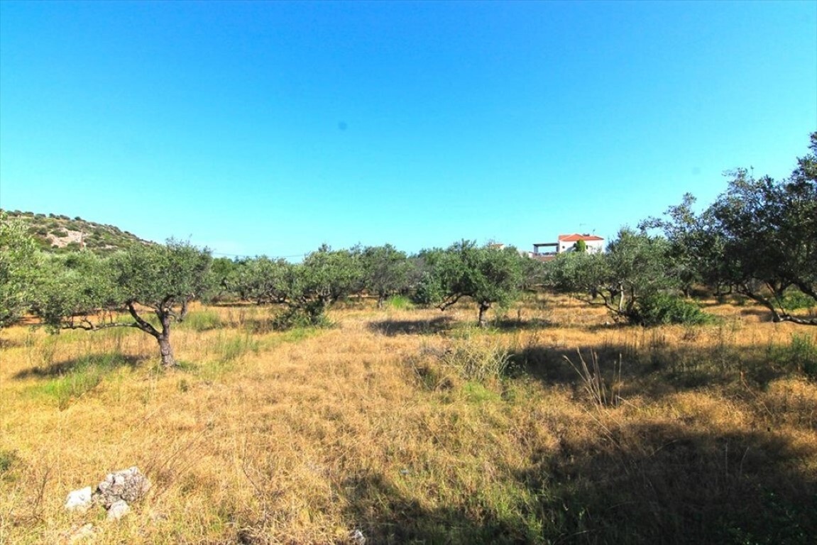 Продажа - Земельный участок 5500 m² на Крите