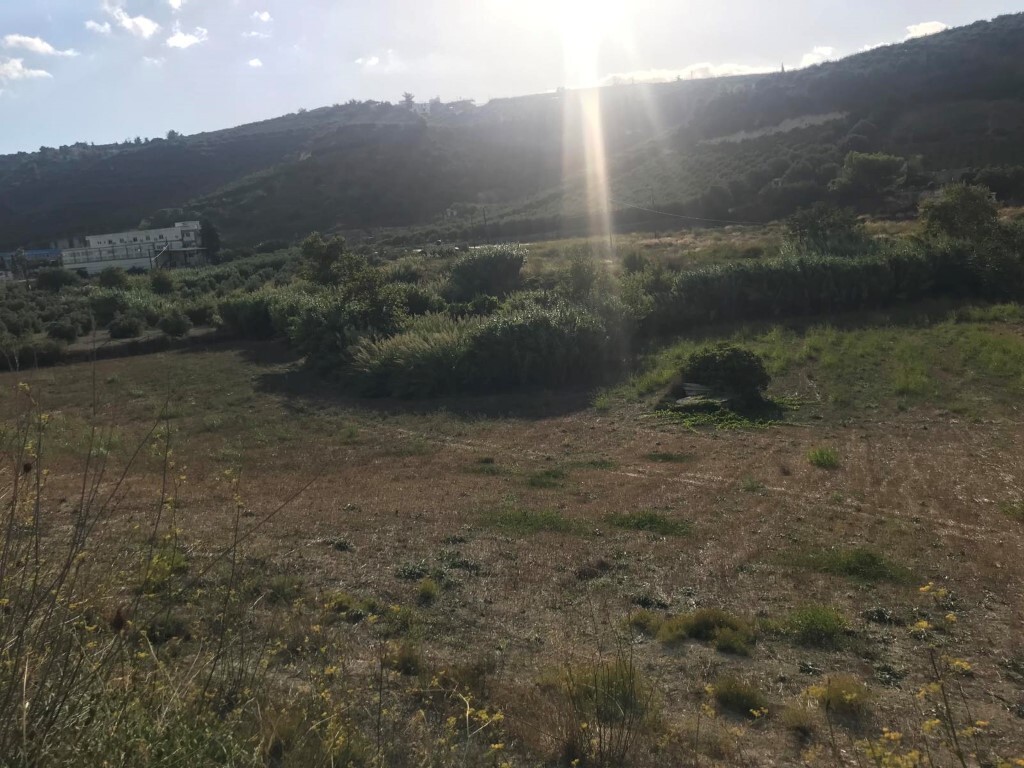 Продажа - Земельный участок 7800 m² на Крите