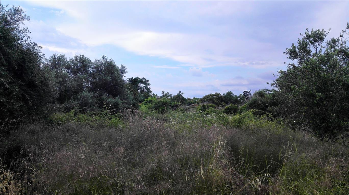 Продажа - Земельный участок 400 m² на Крите