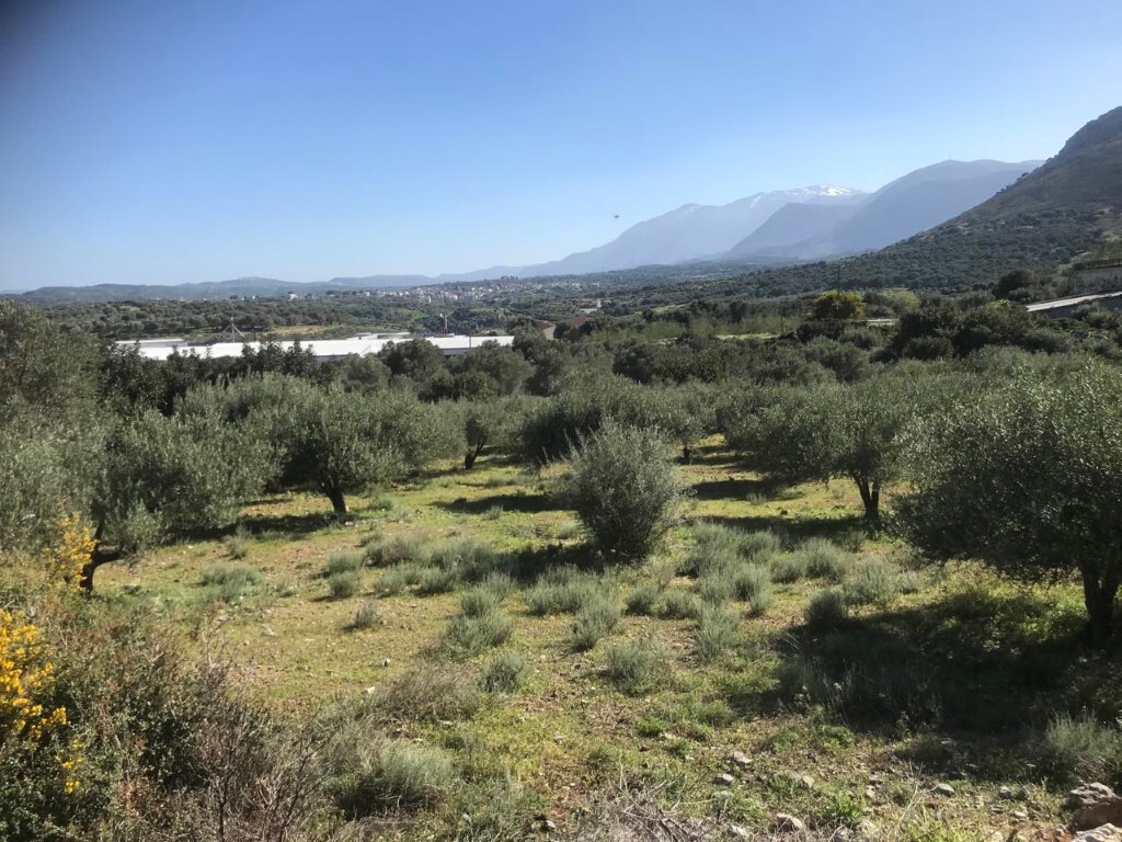 Продажа - Земельный участок 12400 m² на Крите