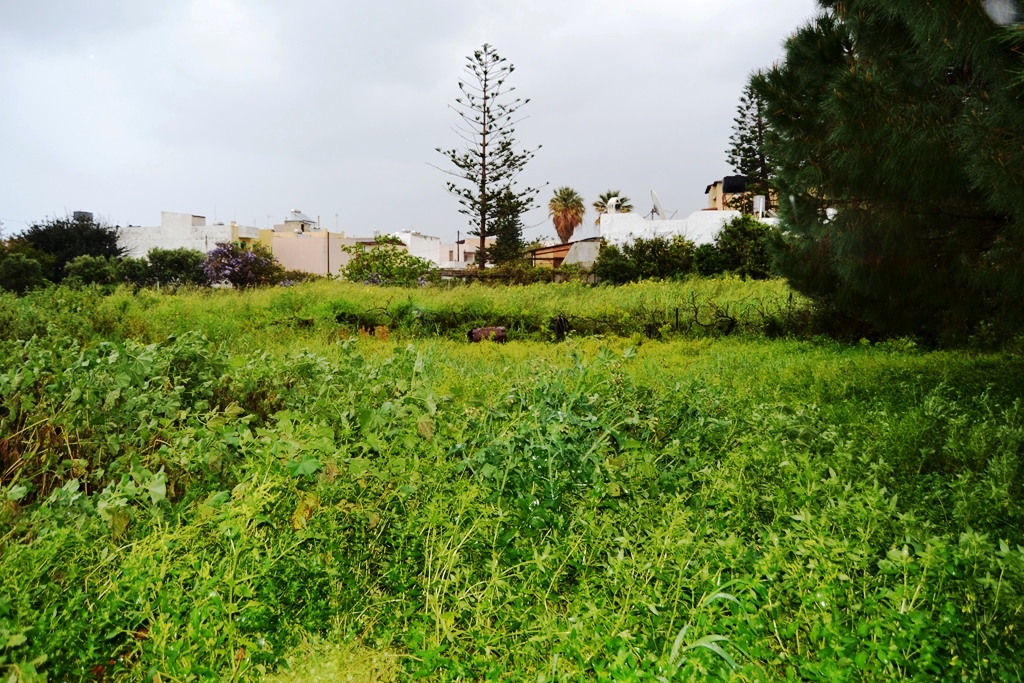 Продажа - Земельный участок 1450 m² на Крите