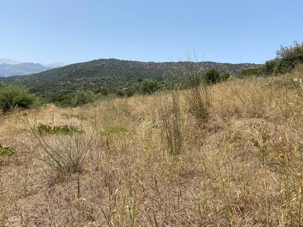 Продажа - Земельный участок 5335 m² на Крите