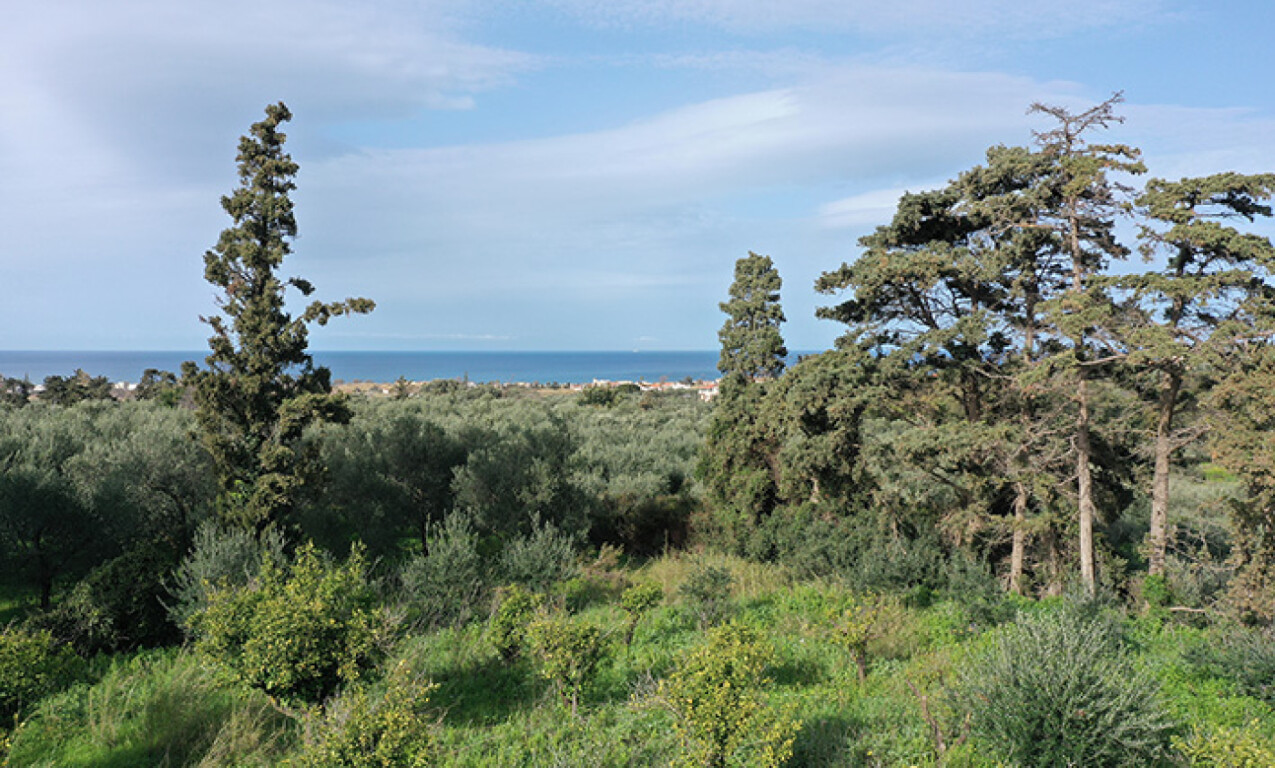 Продажа - Земельный участок 5700 m² на Крите