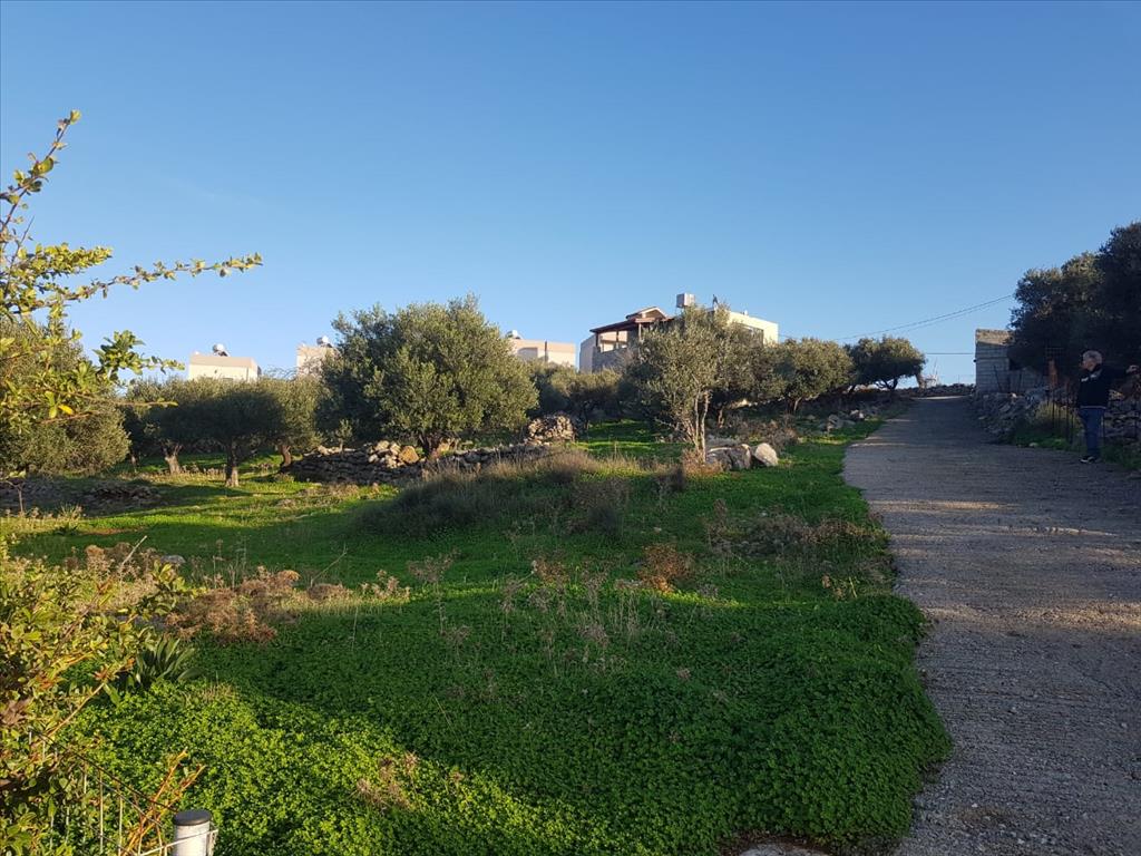 Продажа - Земельный участок 1247 m² на Крите